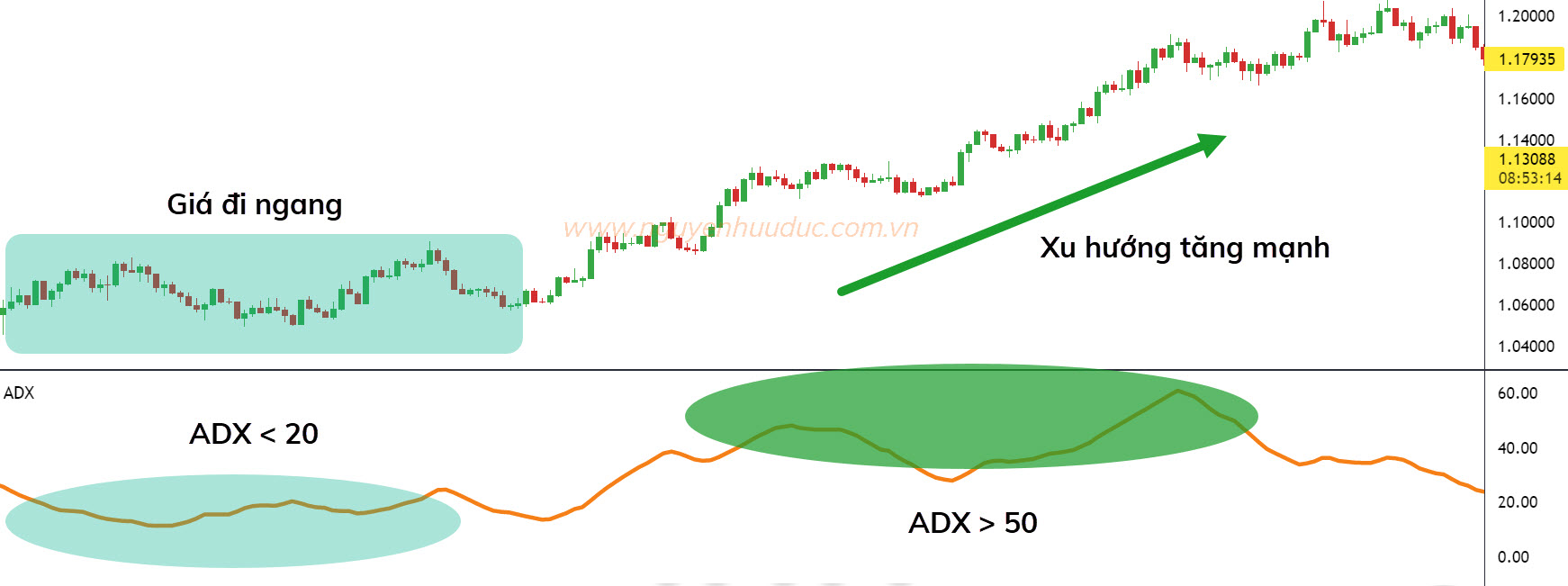 Bài 22: Hoàn Cảnh Và Bản Chất Thị Trường Tài Chính ADX tăng qua 50 thì EURUSD cũng phá đỉnh và tạo xu hướng tăng mạnh