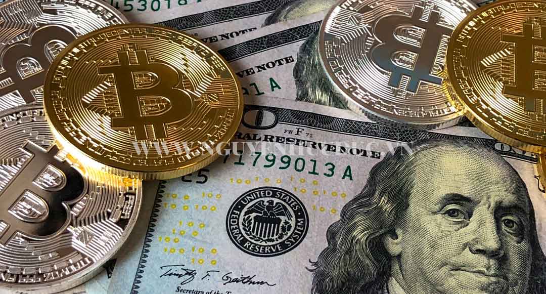 Chiến lược đầu tư crypto dài hạn