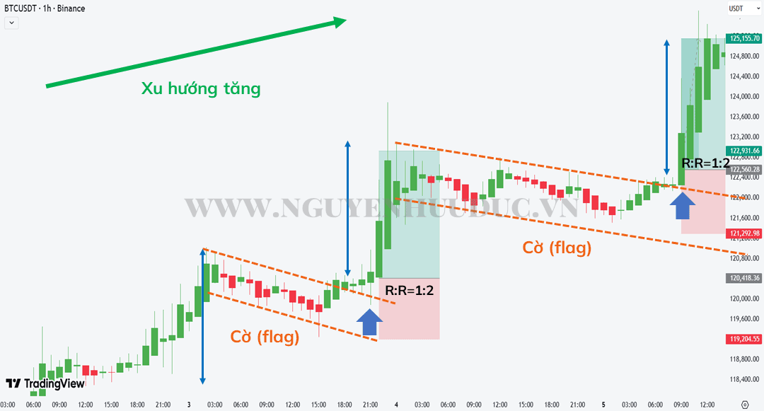 Chiến lược vào lệnh Heiken Ashi Với Flag Và Pennant